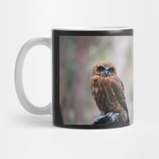 Southern Boobook Owl Mug